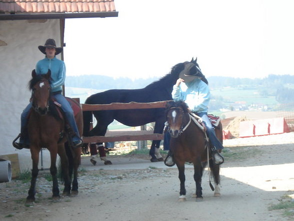 ~MY HoRsEs~ - 