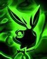 playboy - 