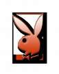 playboy - 