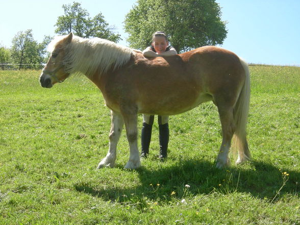 Ich und meine Tierchen! - 