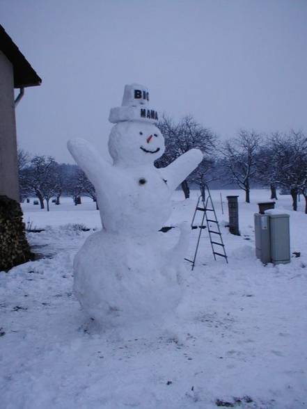 Snow(wo)man - 