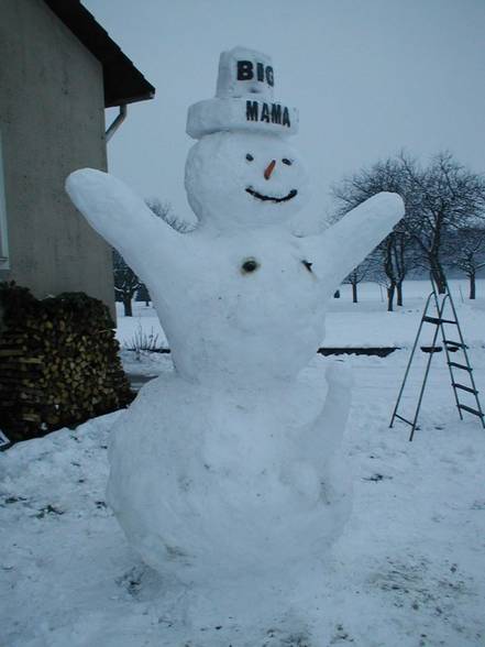 Snow(wo)man - 