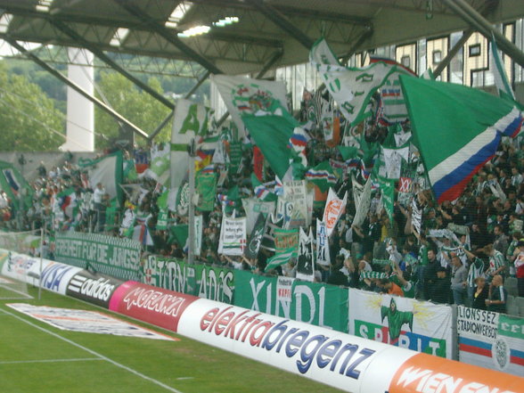 SK Rapid Wien - Superfund Pasching  2-0 - 