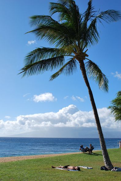 Hawaii 2009 - 