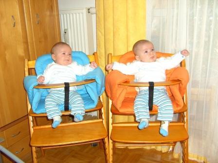 meine MINI babys.. - 