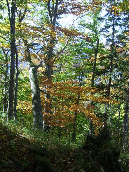 Landschaftsfotos - 