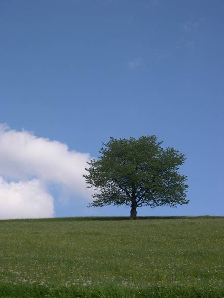 Landschaftsfotos - 