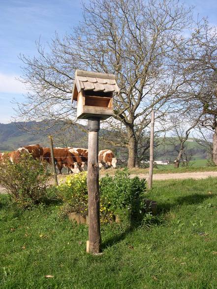 Landschaftsfotos - 