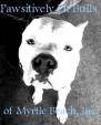 Pit Bull - 