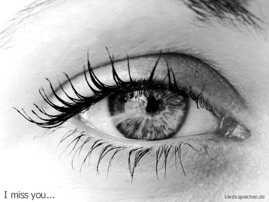 ~ EyeS ~ - 