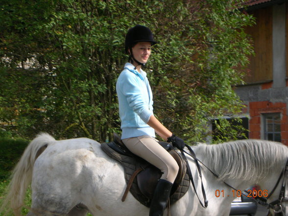 reiten - 