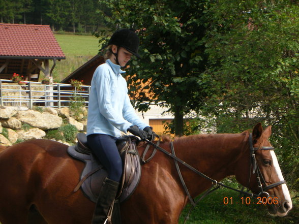 reiten - 