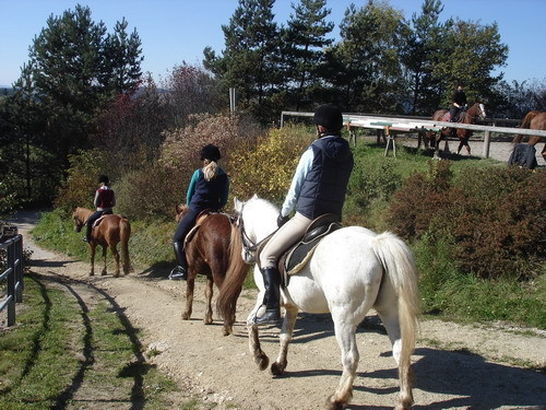 reiten - 