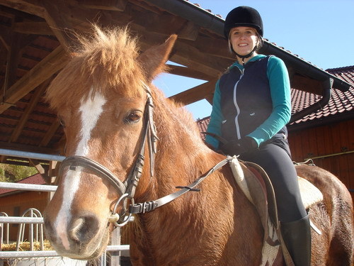 reiten - 