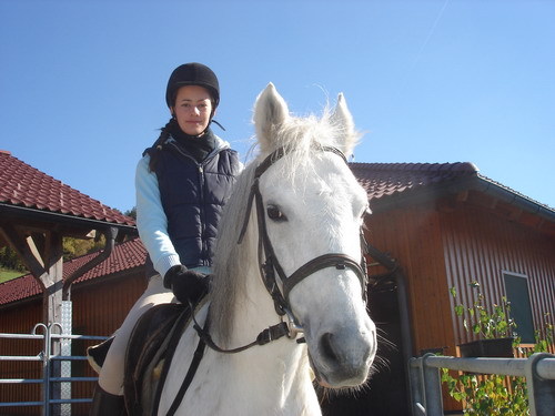 reiten - 