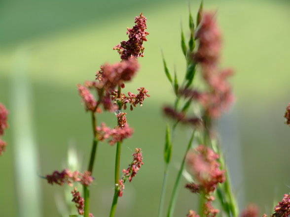 Formen und STein Farbe und Baum - 