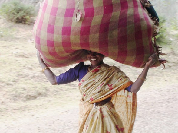 Indien für Conny - 