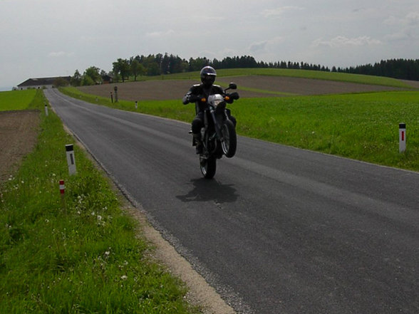 altes moped RIP - 