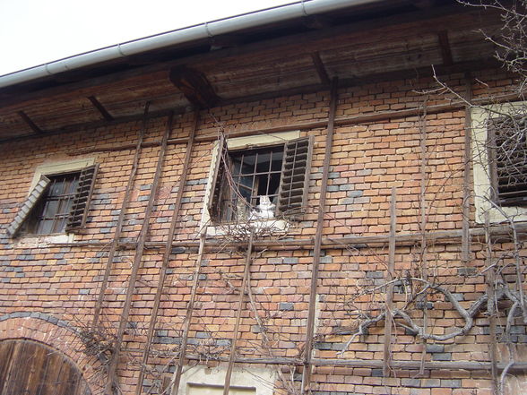 Durcheinander - 