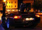 murcielago - 