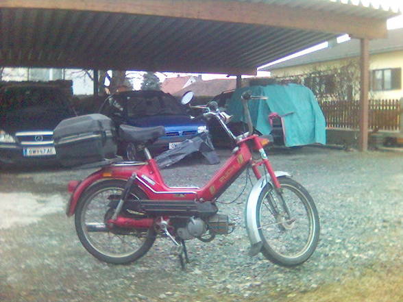 Moped- Pics - 