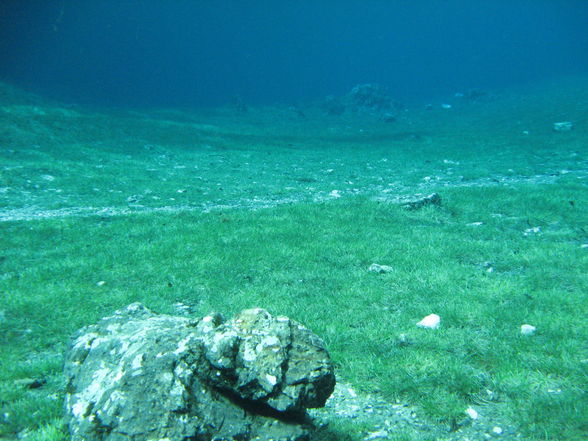 Grüner See am 04.Mai.2009 - 