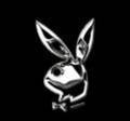 Playboy bunnis - 