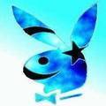 Playboy bunnis - 