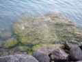 Lago de Garda  - 