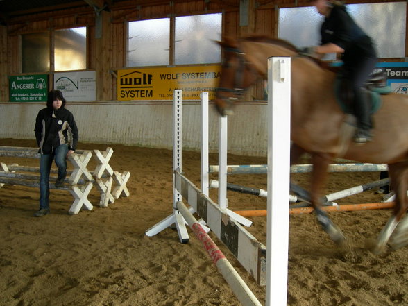 reitn/schui - 