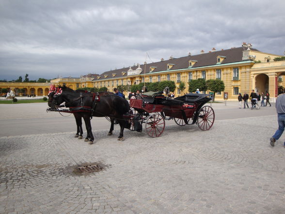 Schloss Schönbrunn - 