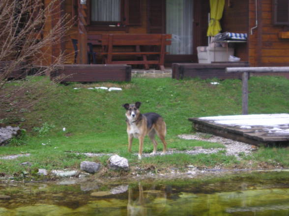 Hütten- Urlaub - 