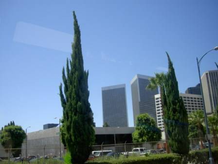 Los Angeles 2006 - 