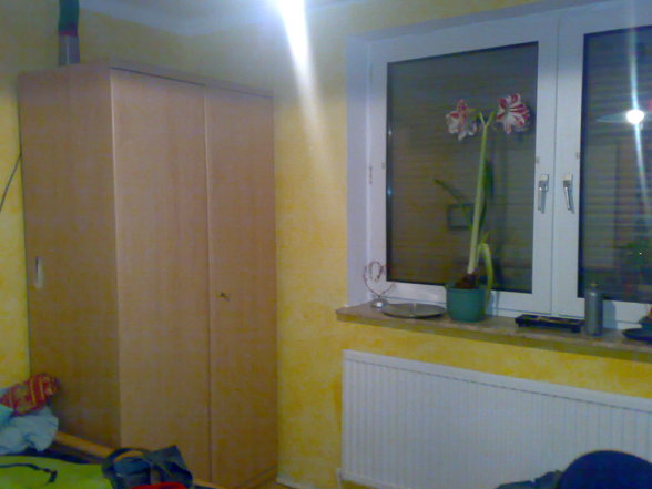 My Room  - 