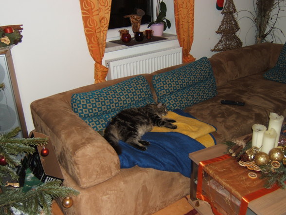 Unser Kater - 