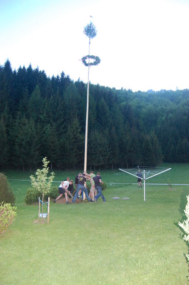 Mein Maibaum - 