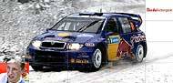 WRC- mein Lieblingssport - 