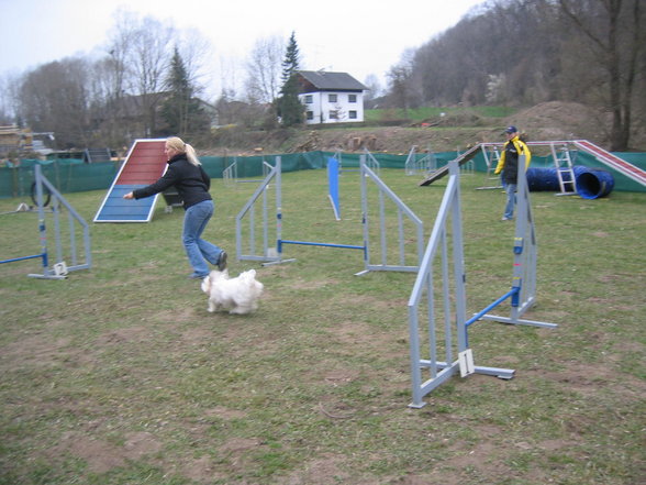 Agility ÖGV Schwanenstadt - 