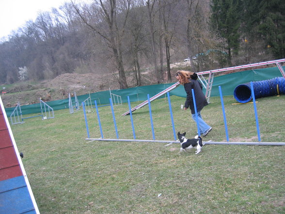 Agility ÖGV Schwanenstadt - 