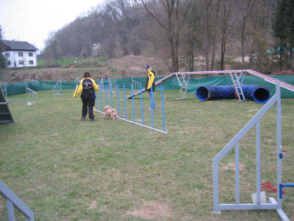 Agility ÖGV Schwanenstadt - 