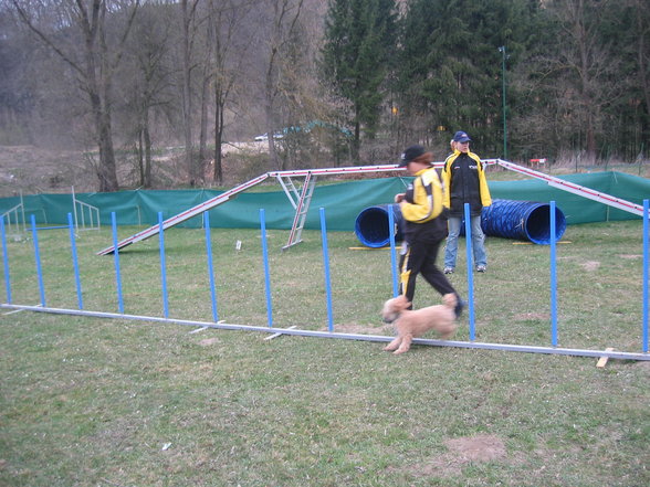 Agility ÖGV Schwanenstadt - 