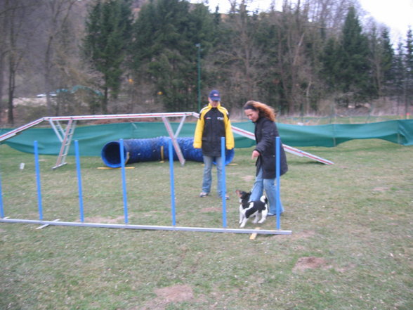 Agility ÖGV Schwanenstadt - 