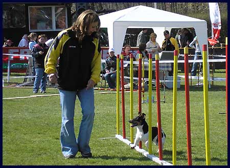 Agility ÖGV Schwanenstadt - 