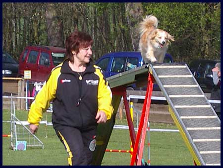 Agility ÖGV Schwanenstadt - 