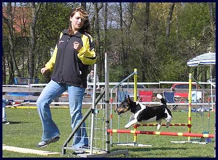 Agility ÖGV Schwanenstadt - 