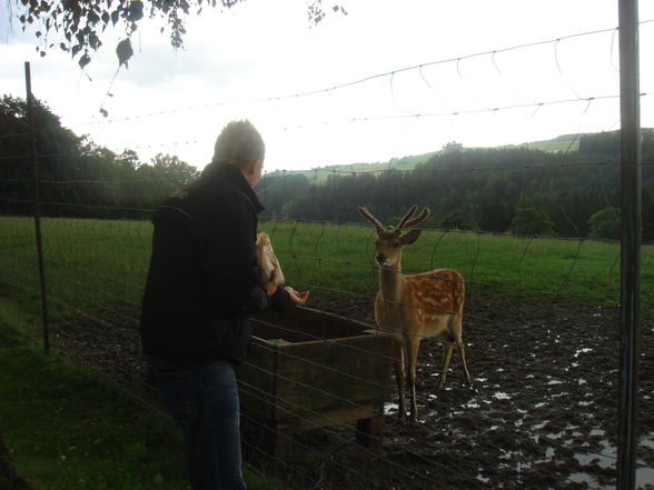 Tierpark Altenfelden - 