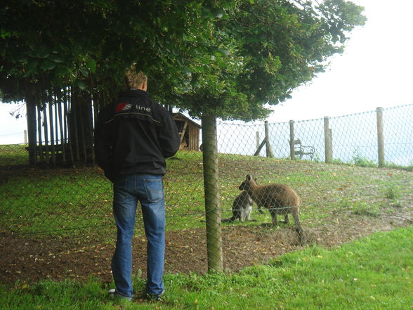 Tierpark Altenfelden - 