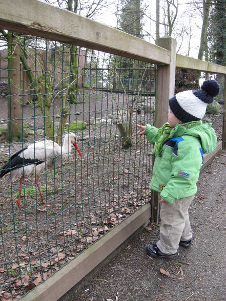 Zoo Wels - 