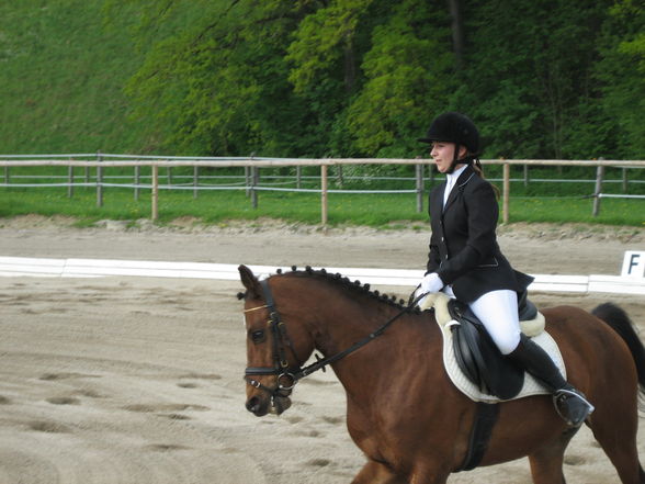 Dressurturnier Steyr 2008 - 