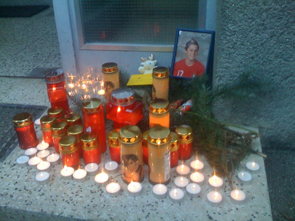 R.i.P Henni 14.11.1995-04.12.2009 - 